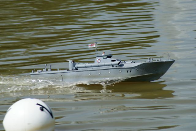 DSC01815 © Peter Taylor 2010