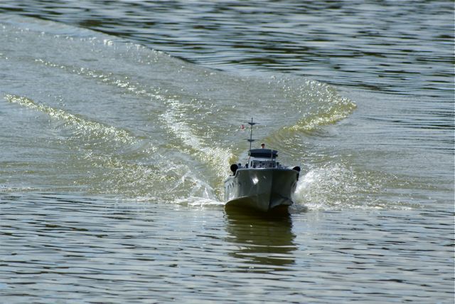 DSC06082 © Peter Taylor 2008