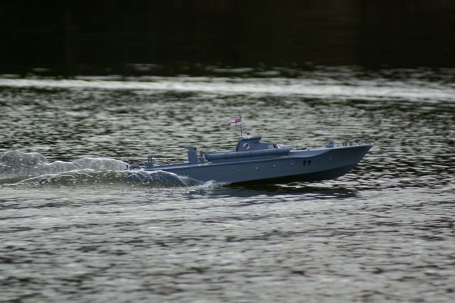 DSC04164 © Peter Taylor 2007