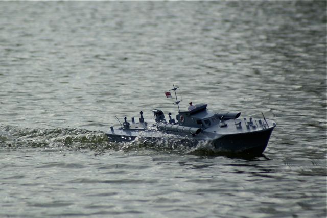 DSC04155 © Peter Taylor 2007