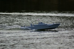 DSC04164 © Peter Taylor 2007