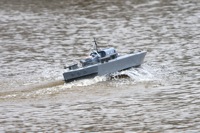 DSC03728 © Peter Taylor 2011