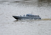 DSC03721 © Peter Taylor 2011