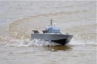 DSC03723 © Peter Taylor 2011