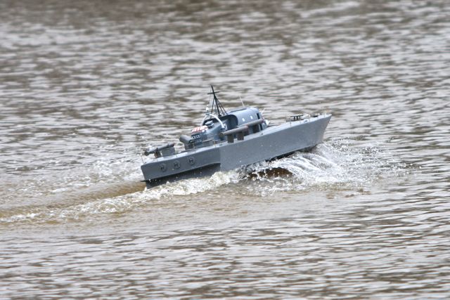 DSC03728 © Peter Taylor 2011
