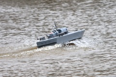 DSC03728 © Peter Taylor 2011