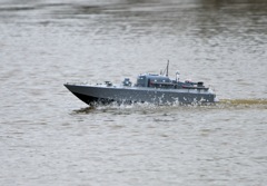 DSC03721 © Peter Taylor 2011