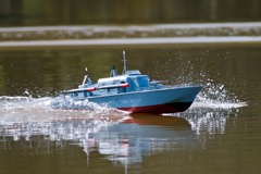 DSC01497 © Peter Taylor 2013
