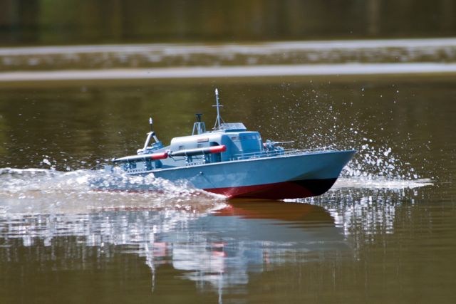 DSC01497 © Peter Taylor 2013