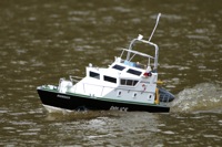 DSC03446 © Peter Taylor 2011