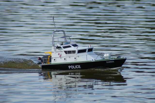 DSC02448 © Peter Taylor 2011