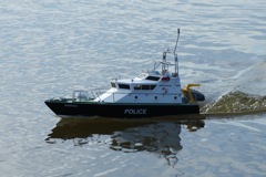 DSC02460 © Peter Taylor 2011
