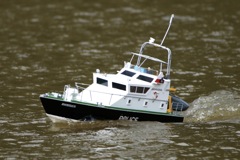 DSC03446 © Peter Taylor 2011