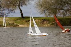 DSC07897 © Peter Taylor 2016