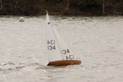 DSC07943 © Peter Taylor 2016