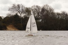DSC07951 © Peter Taylor 2016