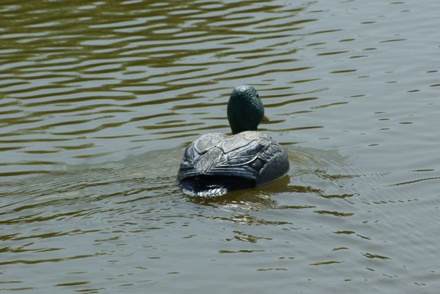 DSC00032.JPG