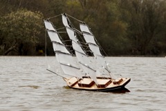 DSC03141 © Peter Taylor 2013