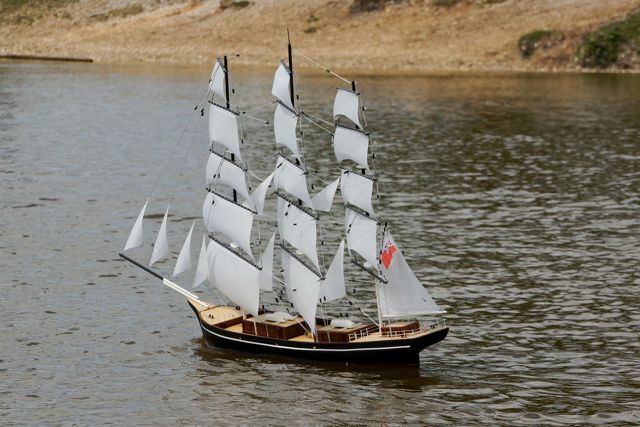 DSC06857 © Peter Taylor 2015