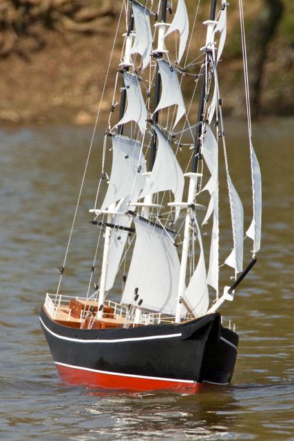 DSC03061 © Peter Taylor 2013