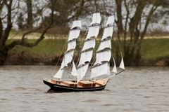 DSC03146 © Peter Taylor 2013