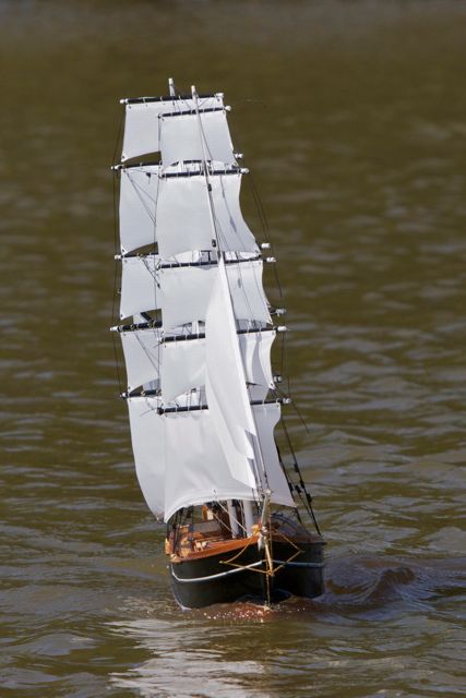 DSC01391 © Peter Taylor 2013