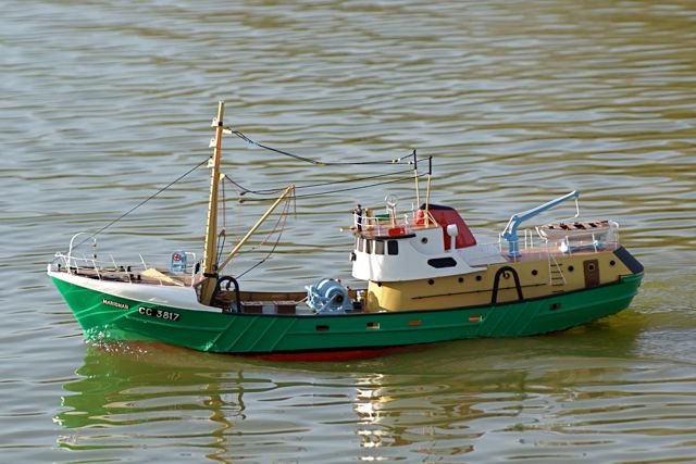 DSC04647 © Peter Taylor 2008