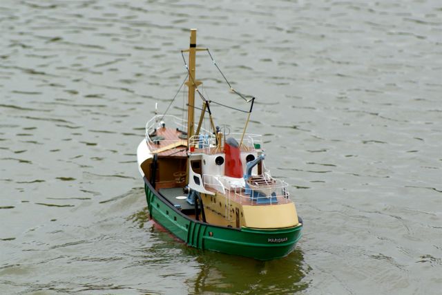 DSC03344 © Peter Taylor 2007
