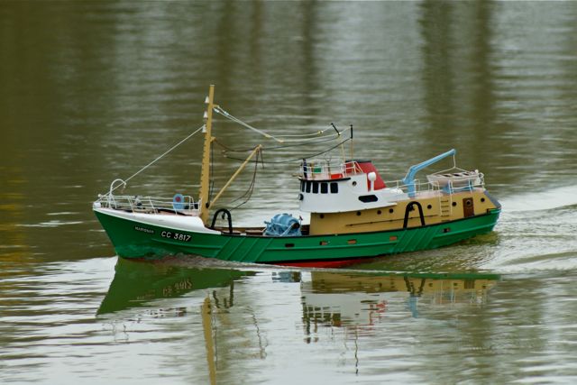 DSC01213 © Peter Taylor 2010 