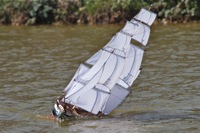 DSC01029 © Peter Taylor 2012