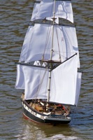 DSC07984 © Peter Taylor 2011