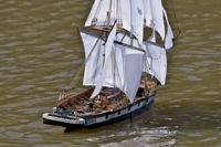 DSC07965 © Peter Taylor 2011