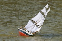 DSC01031 © Peter Taylor 2012