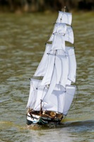 DSC01030 © Peter Taylor 2012