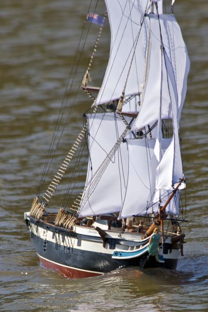 DSC08004 © Peter Taylor 2011