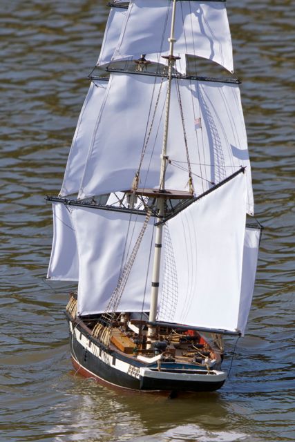 DSC07984 © Peter Taylor 2011