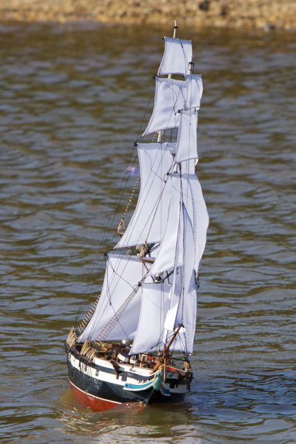 DSC07971 © Peter Taylor 2011