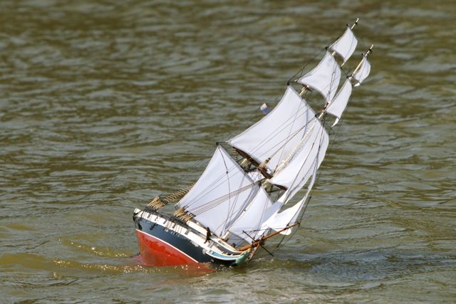 DSC01031 © Peter Taylor 2012