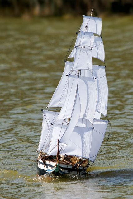 DSC01030 © Peter Taylor 2012