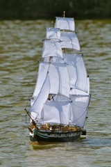 DSC01024 © Peter Taylor 2012