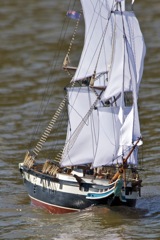 DSC08004 © Peter Taylor 2011