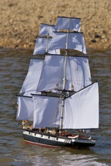 DSC08009 © Peter Taylor 2011