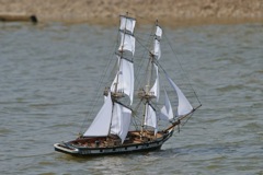 DSC01026 © Peter Taylor 2012