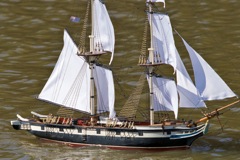 DSC07995 © Peter Taylor 2011