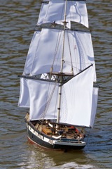 DSC07984 © Peter Taylor 2011