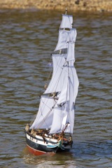 DSC07971 © Peter Taylor 2011
