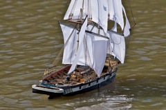 DSC07965 © Peter Taylor 2011