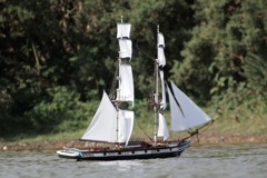 DSC01697 © Peter Taylor 2012