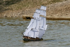 DSC01022 © Peter Taylor 2012