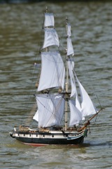 DSC01025 © Peter Taylor 2012